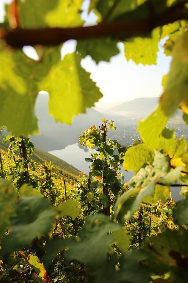 Wein Und Gaestehaus Huels Krov Bagian luar foto